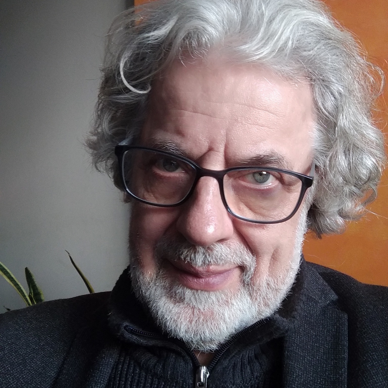 amadeu santos
